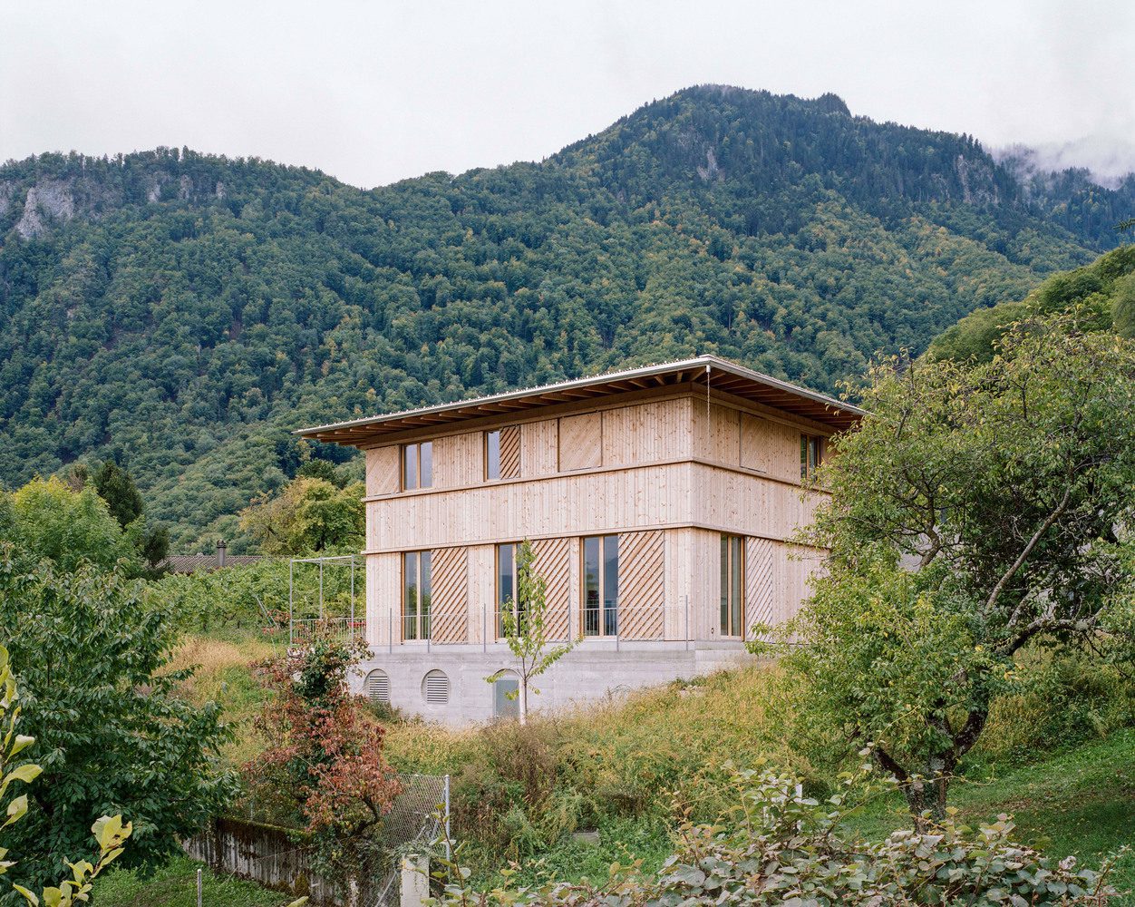 The House in the Vineyard