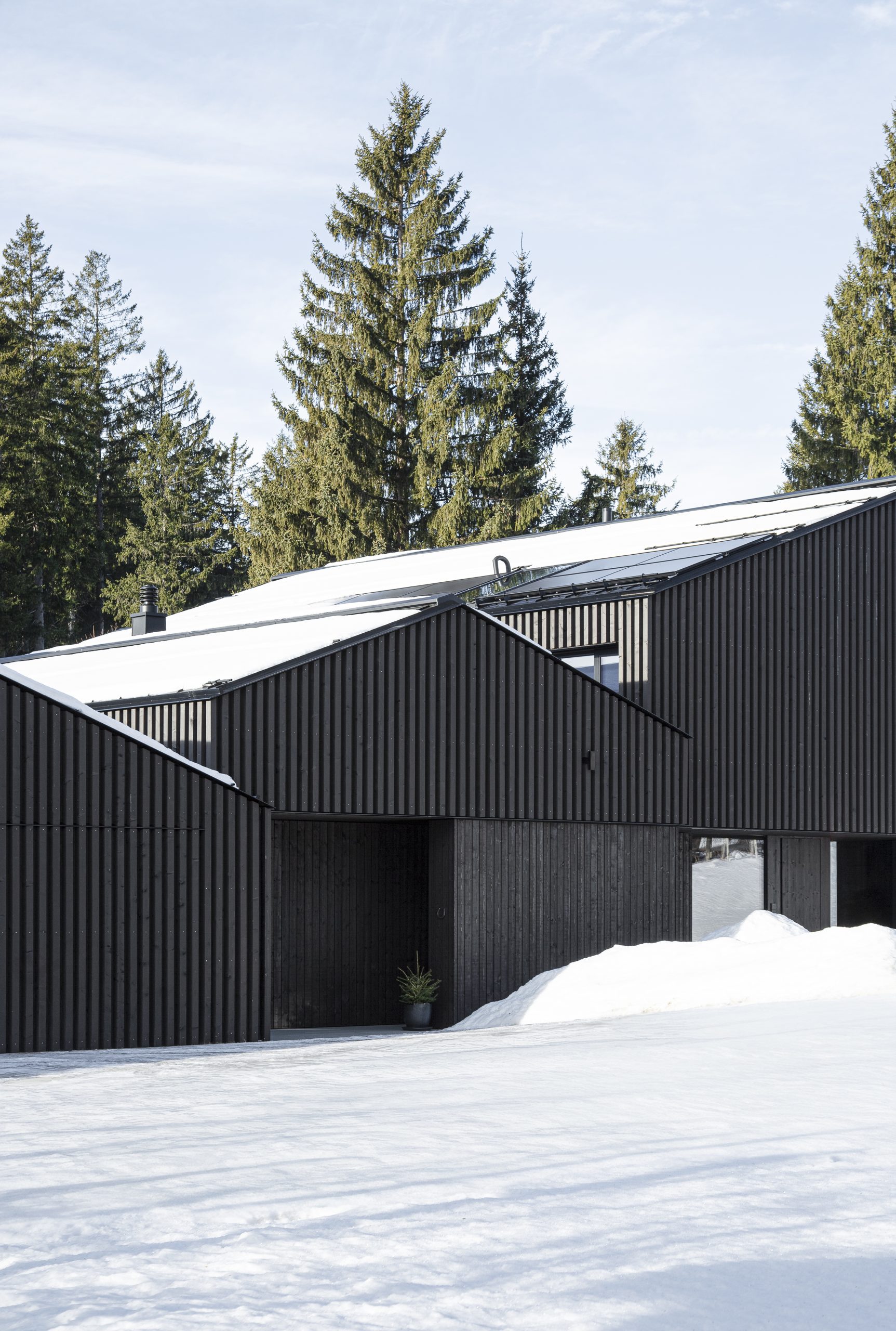The Alpamyr House