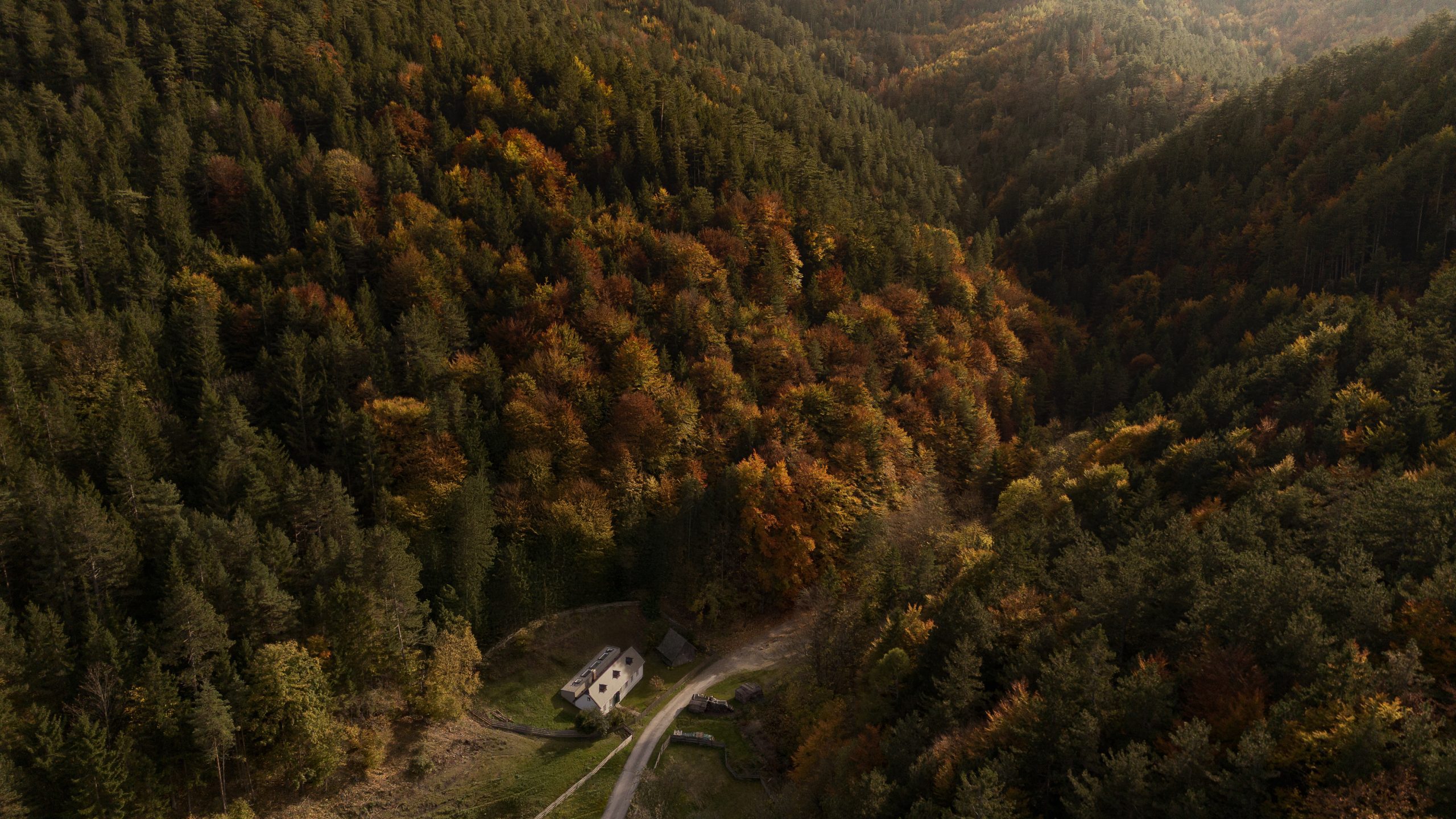 The HÄUSL.